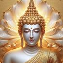 APK Buddha HD Photo Wallpapers