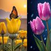 Flowers Wallpaper 4K-HD Photos