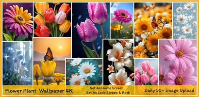 Flower Wallpaper Pink 4K | HD 포스터