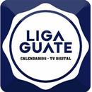 LIGA GTV APK