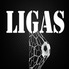 LIGAS icono