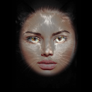Black Cat Photo Montage aplikacja