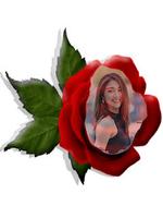 Red Rose Photo Montage تصوير الشاشة 2