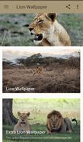 imagenes de leones penulis hantaran