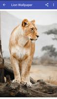 imagenes de leones 截圖 2