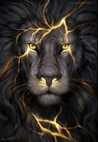 King Lion Wallpapers [HD] постер