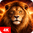 Lion Wallpapers 4K icon
