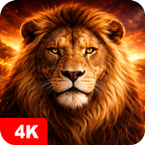 Lion Wallpapers 4K APK