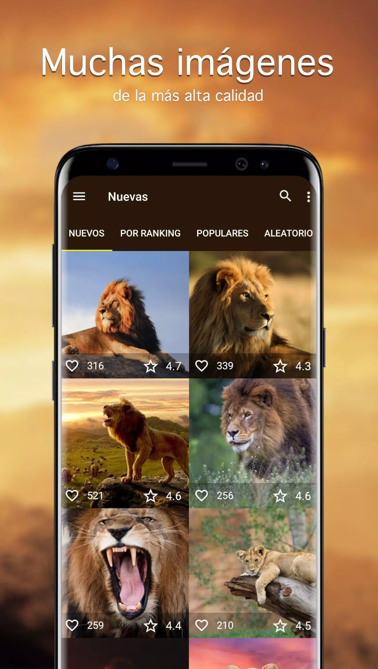Descarga de APK de Fondos de pantalla con león 4K para Android Descarga de APK de Fondos de pantalla con león 4K para Android