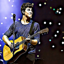 Shawn Mendes Songs 4 Fans APK