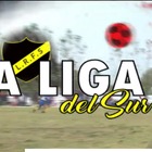Liga Regional Fùtbol del Sur icon