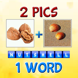 2Pics1Word icon