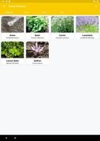 Plants Of Greece Screenshot 3