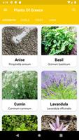 Plants Of Greece Plakat