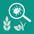 Agrobase - weed, disease, insect
