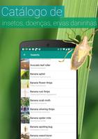 Agrobase imagem de tela 1