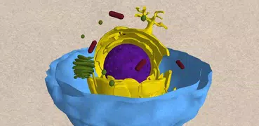 The Cell