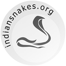 Indian Snakes APK