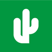 Cactus ícone