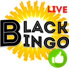 Bingo money Lotto live onlines آئیکن