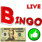 Bingo on Money Lotto Match 3 f icono