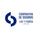 Luz y Fuerza Car Inspection APK