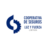 Luz y Fuerza Car Inspection