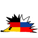 HedgeDict: De-Ru-De aplikacja
