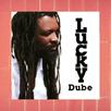 Lucky Dube All Songs APK