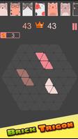 Brick Trigon スクリーンショット 1