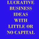 LUCRATIVE BUSINESS IDEAS WITH  APK