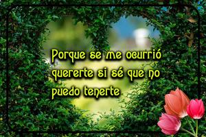 Poemas de Amor syot layar 1