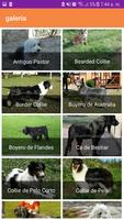 Enciclopedia Canina capture d'écran 2