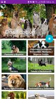 Enciclopedia Canina screenshot 3