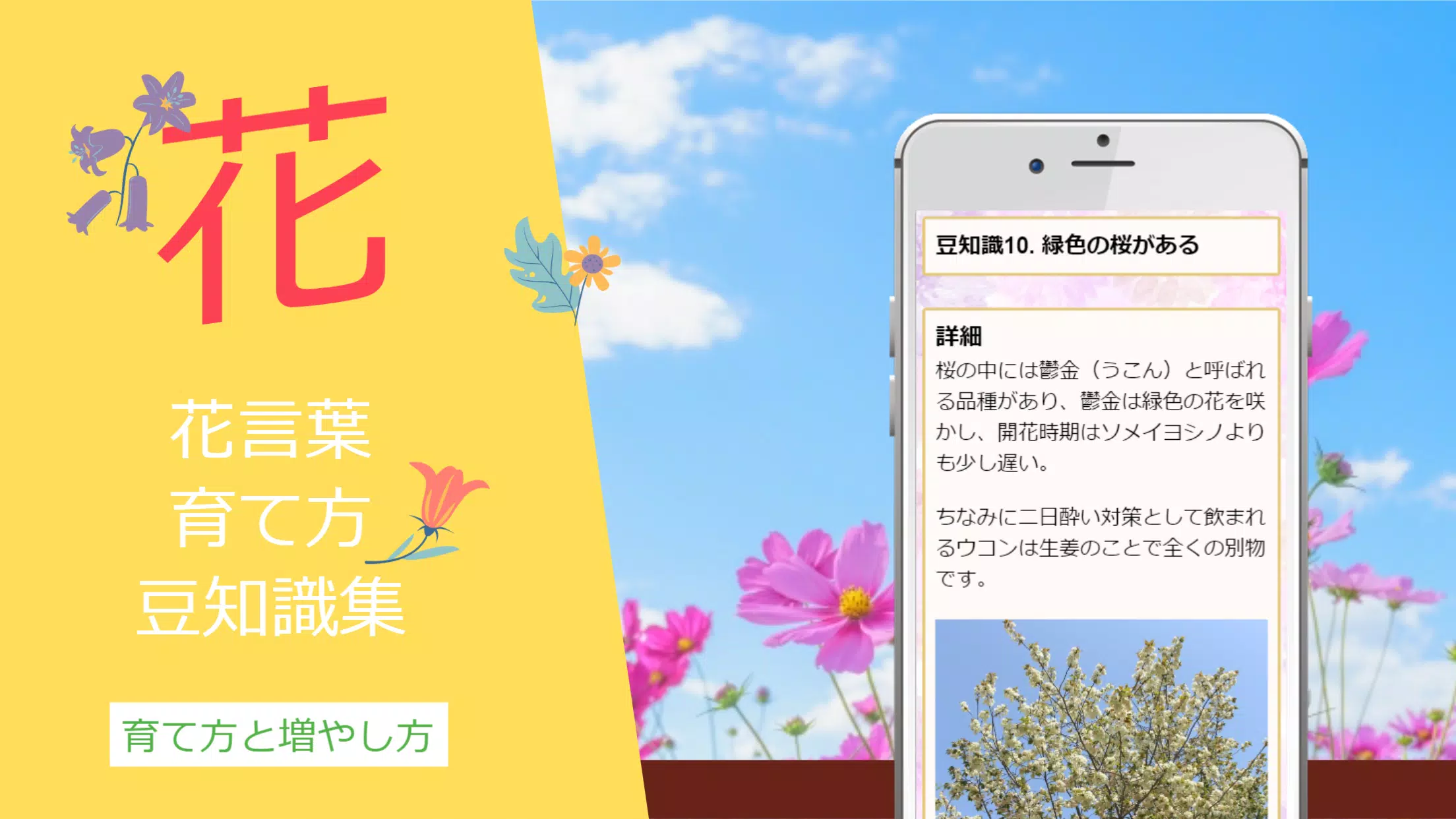 下载花の豆知識名前の由来や花言葉的安卓版本 下载花の豆知識名前の由来や花言葉的安卓版本