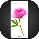 Theme for Xiaomi Mi Max APK