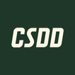 CSDD e-pakalpojumi