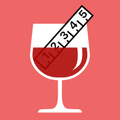 DrinkControl - Alcohol Tracker