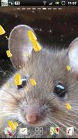 tikus lucu lwp poster
