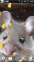 tikus lucu lwp screenshot 1