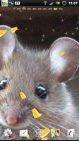 tikus lucu lwp screenshot 2
