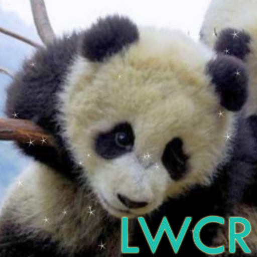 baby panda lwp