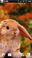 rabbit live wallpaper স্ক্রিনশট 3