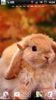 rabbit live wallpaper পোস্টার