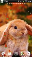 rabbit live wallpaper স্ক্রিনশট 1