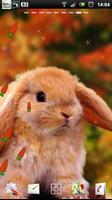 rabbit live wallpaper স্ক্রিনশট 2