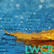 rain live wallpaper