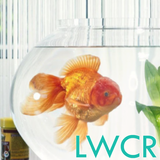 goldfish live wallpaper icon