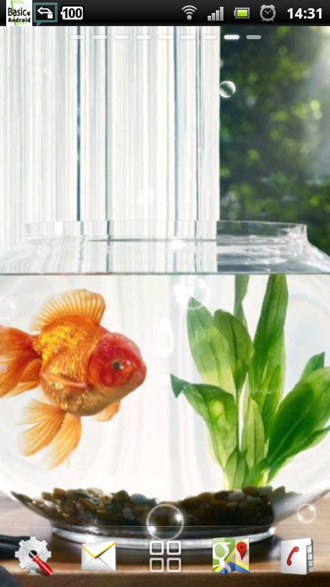 goldfish live wallpaper APK  for Android – Download goldfish live  wallpaper APK Latest Version from 