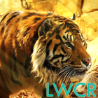बाघ lwp आइकन